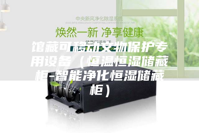 館藏可移動文物保護(hù)專用設(shè)備(恒溫恒濕儲藏柜-智能凈化恒濕儲藏柜)