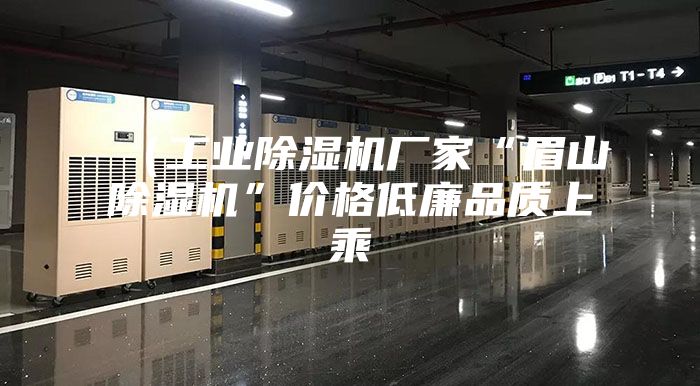 （工業(yè)除濕機廠家“眉山除濕機”價格低廉品質(zhì)上乘