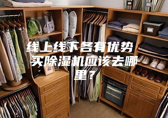 線上線下各有優(yōu)勢 買除濕機應該去哪里?
