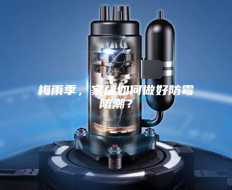 梅雨季,家居如何做好防霉防潮?