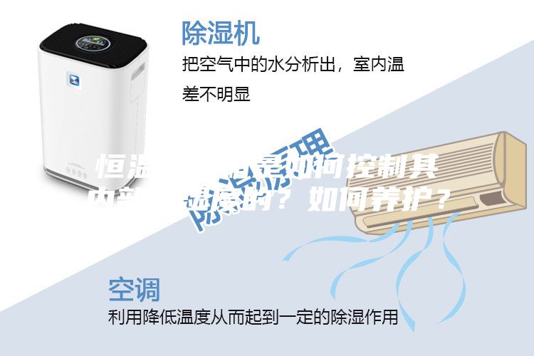 恒溫恒濕箱是如何控制其內部溫濕度的？如何養(yǎng)護？