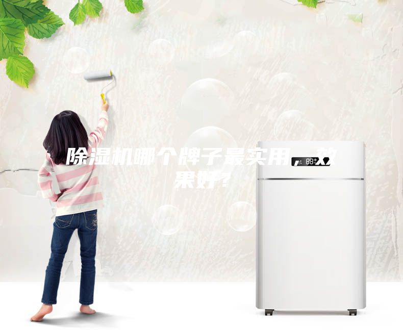除濕機哪個牌子最實用，效果好？
