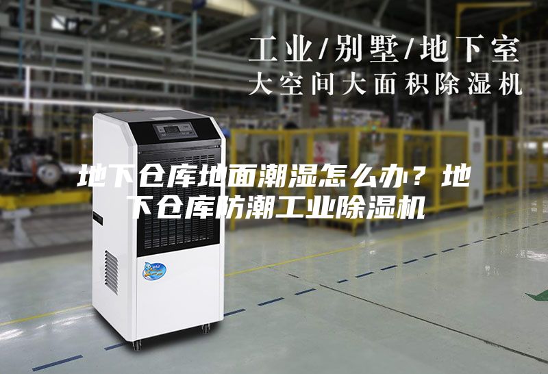 地下倉庫地面潮濕怎么辦？地下倉庫防潮工業除濕機