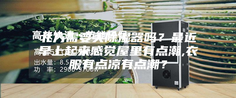 北方需要買除濕器嗎？最近早上起來感覺屋里有點潮,衣服有點涼有點潮？