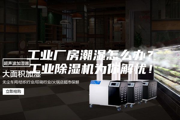 工業廠房潮濕怎么辦?工業除濕機為你解憂!