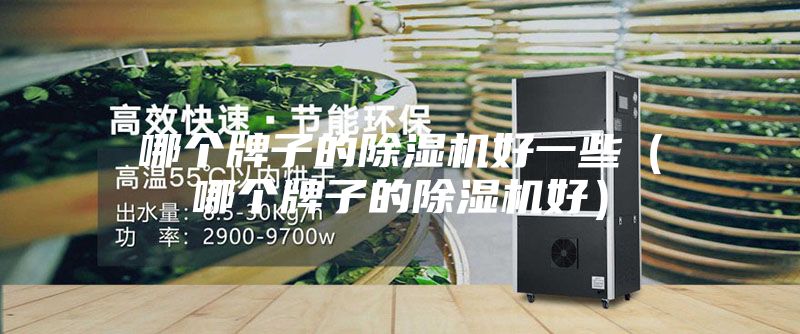 哪個牌子的除濕機好一些(哪個牌子的除濕機好)