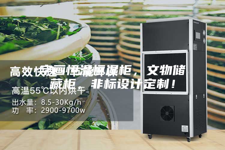 字畫恒溫恒濕柜，文物儲藏柜，非標(biāo)設(shè)計(jì)定制！