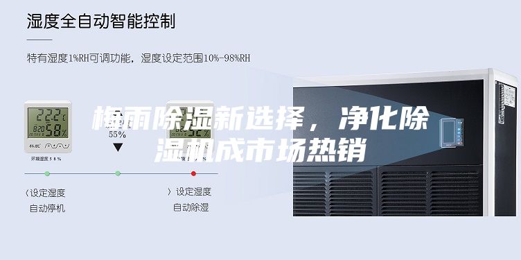 梅雨除濕新選擇,凈化除濕機成市場熱銷
