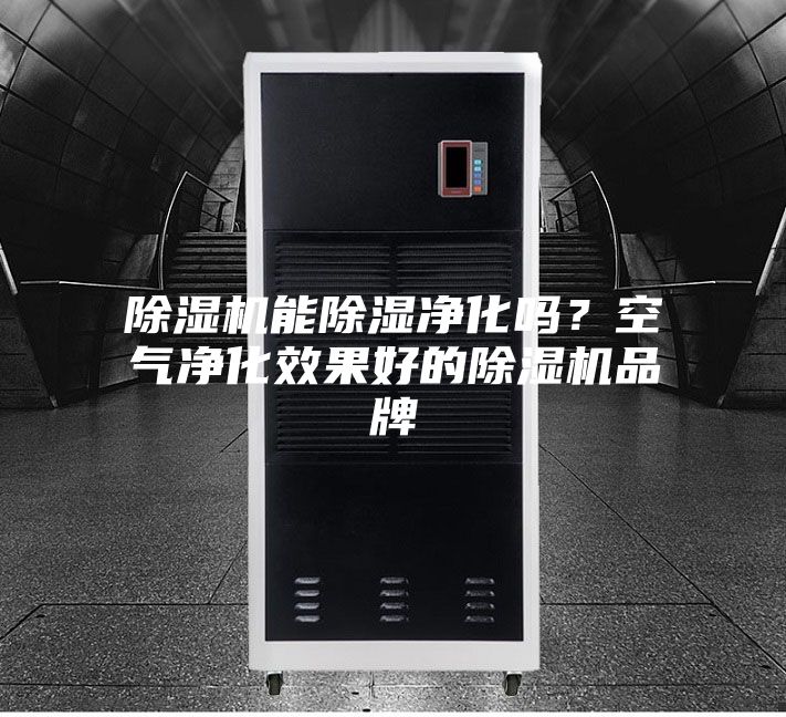 除濕機能除濕凈化嗎？空氣凈化效果好的除濕機品牌