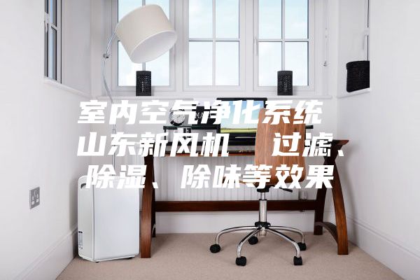 室內空氣凈化系統(tǒng) 山東新風機 過濾、除濕、除味等效果