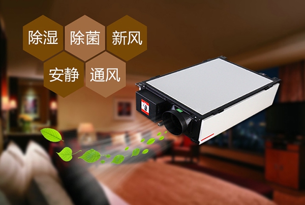 出梅?再等等,在家該如何防潮除濕?