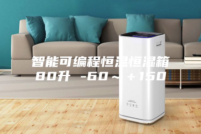 智能可編程恒溫恒濕箱80升 -60~+150℃