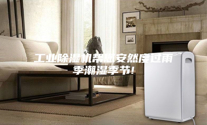 工業除濕機幫您安然度過雨季潮濕季節!