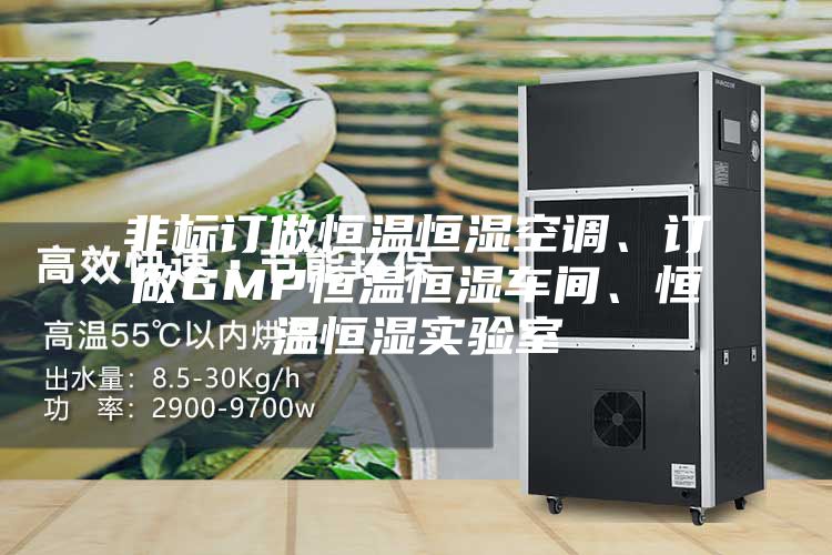 非標訂做恒溫恒濕空調、訂做GMP恒溫恒濕車間、恒溫恒濕實驗室