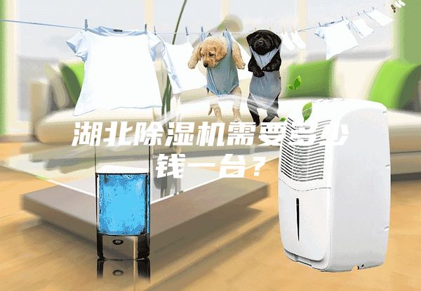 湖北除濕機需要多少錢一臺？