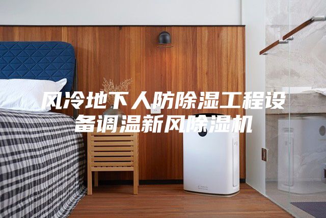 風冷地下人防除濕工程設備調(diào)溫新風除濕機