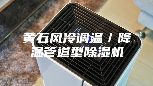 黃石風(fēng)冷調(diào)溫/降溫管道型除濕機(jī)