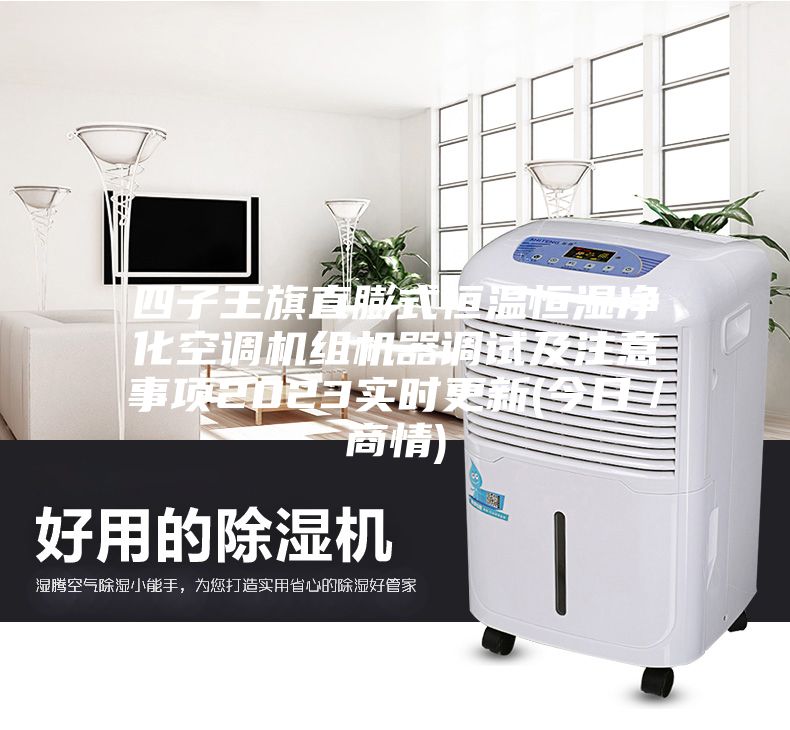 四子王旗直膨式恒溫恒濕凈化空調機組機器調試及注意事項2023實時更新(今日/商情)
