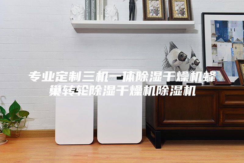 專業(yè)定制三機一體除濕干燥機蜂巢轉輪除濕干燥機除濕機