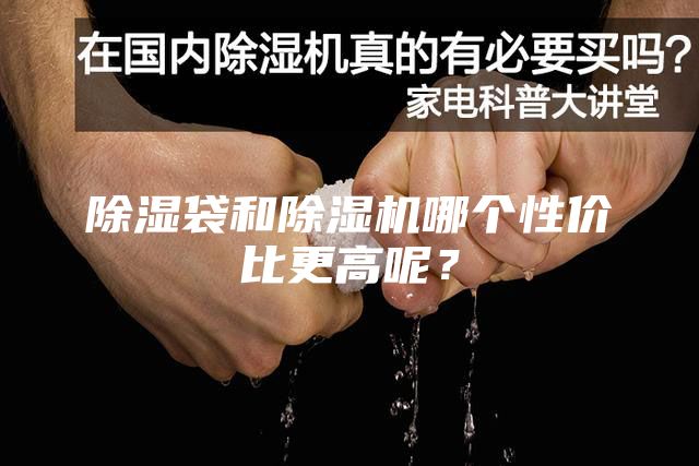 除濕袋和除濕機哪個性價比更高呢？