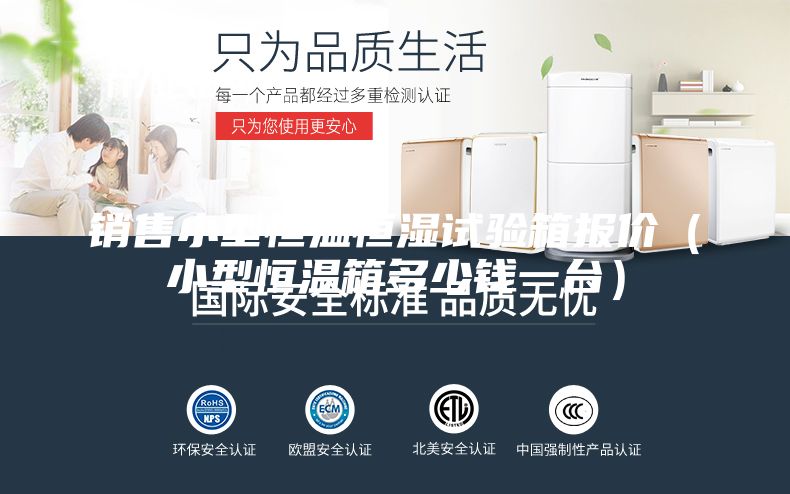 銷售小型恒溫恒濕試驗(yàn)箱報(bào)價(jià)(小型恒溫箱多少錢一臺(tái))