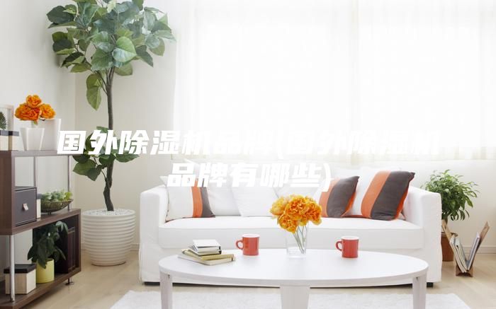 國外除濕機品牌(國外除濕機品牌有哪些)