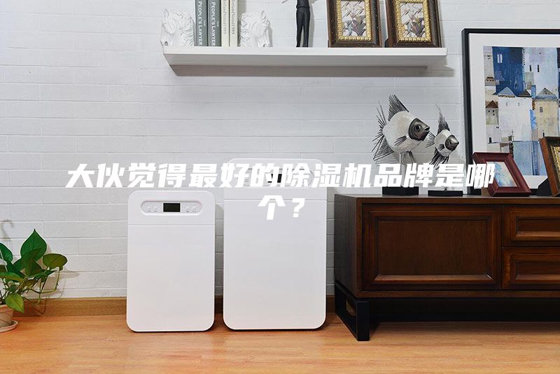 大伙覺得最好的除濕機(jī)品牌是哪個？