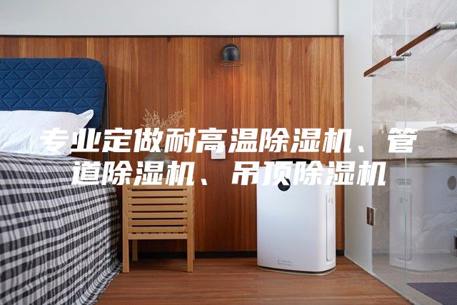 專業(yè)定做耐高溫除濕機(jī)、管道除濕機(jī)、吊頂除濕機(jī)