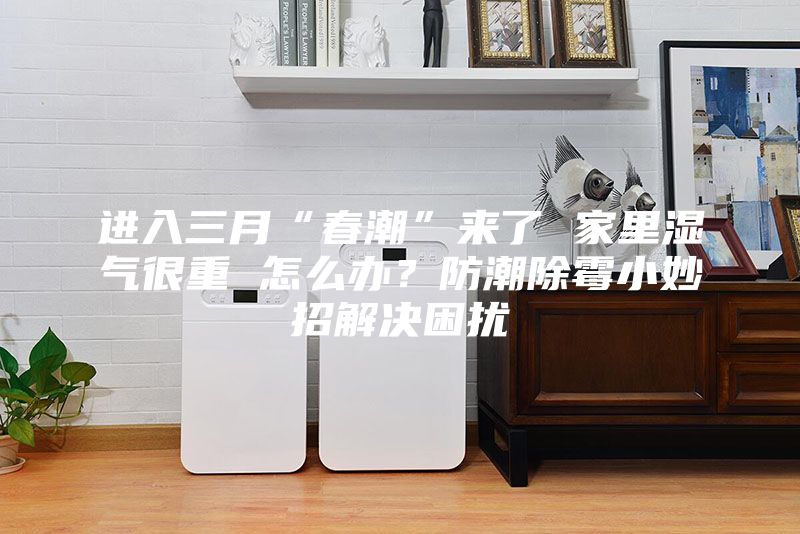 進入三月“春潮”來了 家里濕氣很重 怎么辦?防潮除霉小妙招解決困擾
