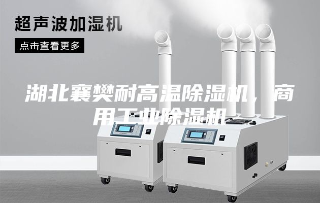 湖北襄樊耐高溫除濕機，商用工業除濕機