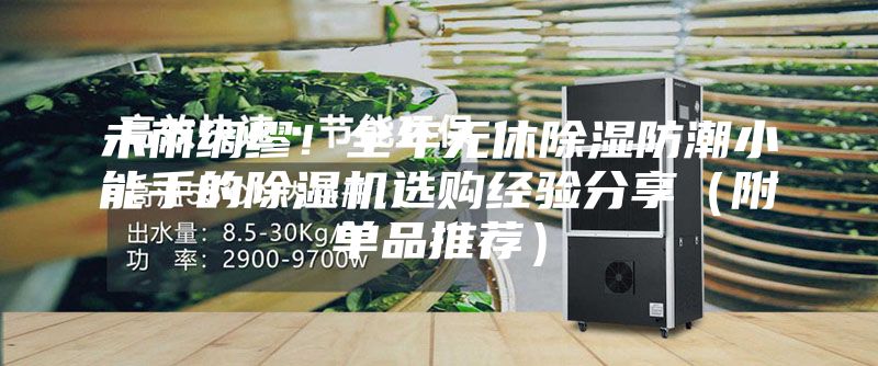 未雨綢繆!全年無休除濕防潮小能手的除濕機選購經驗分享(附單品推薦)