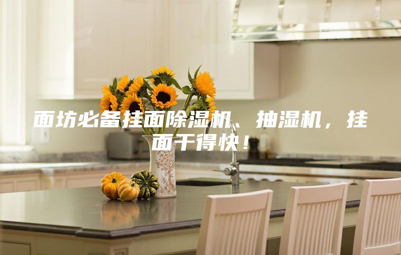面坊必備掛面除濕機、抽濕機,掛面干得快!
