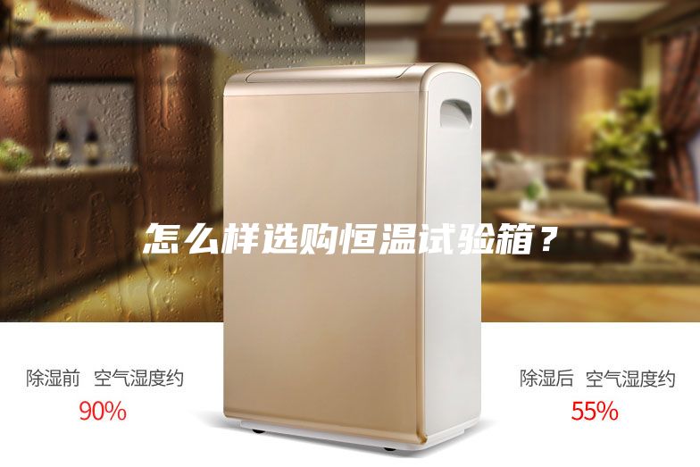 怎么樣選購恒溫試驗箱?