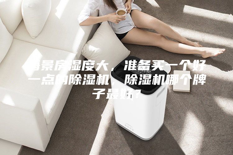 海景房濕度大，準(zhǔn)備買一個(gè)好一點(diǎn)的除濕機(jī)，除濕機(jī)哪個(gè)牌子最好？