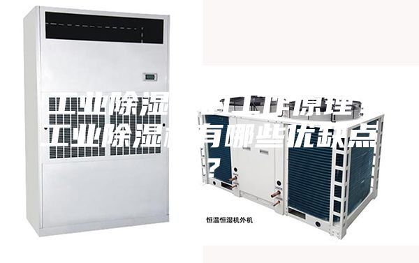 工業(yè)除濕機(jī)的工作原理？工業(yè)除濕機(jī)有哪些優(yōu)缺點(diǎn)？