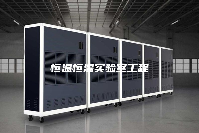 恒溫恒濕實(shí)驗(yàn)室工程