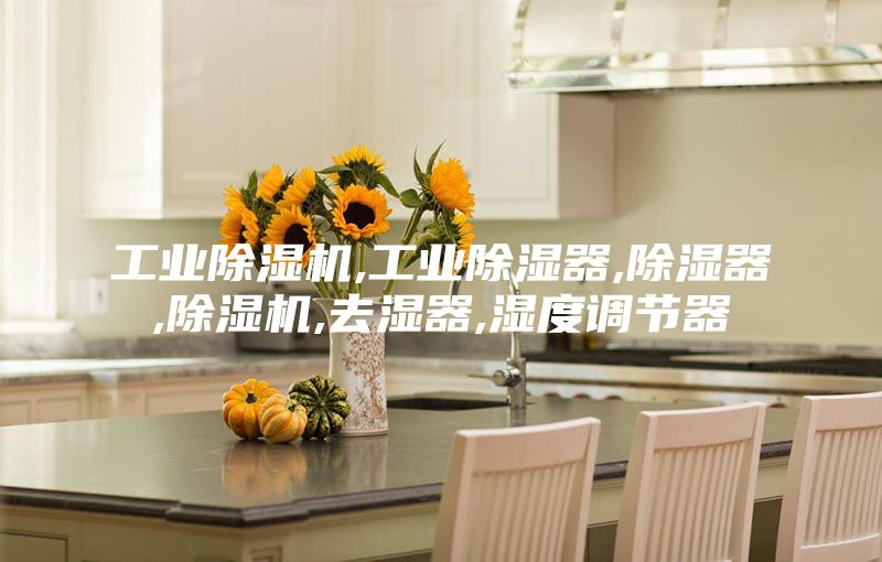 工業(yè)除濕機,工業(yè)除濕器,除濕器,除濕機,去濕器,濕度調(diào)節(jié)器