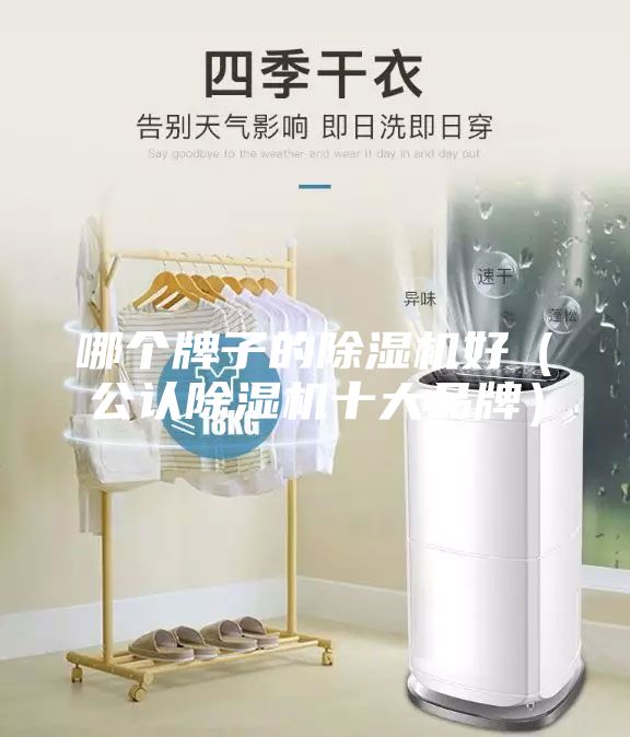哪個牌子的除濕機好(公認除濕機十大品牌)