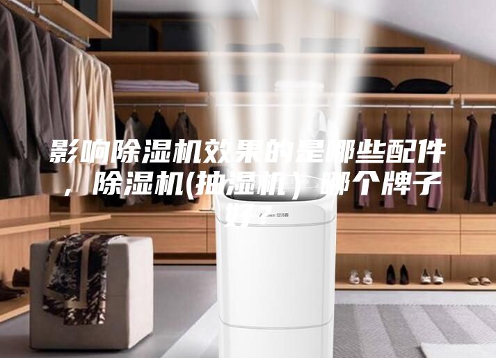 影響除濕機效果的是哪些配件，除濕機(抽濕機）哪個牌子好？