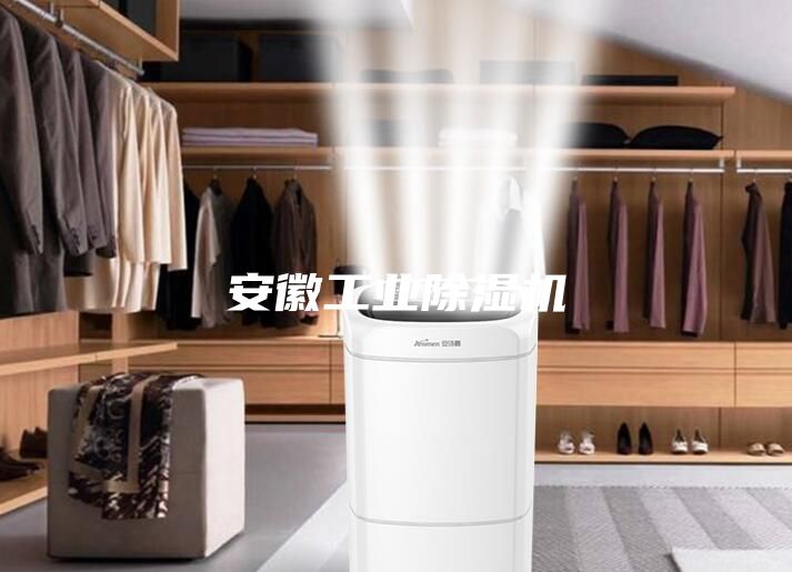 安徽工業(yè)除濕機(jī)