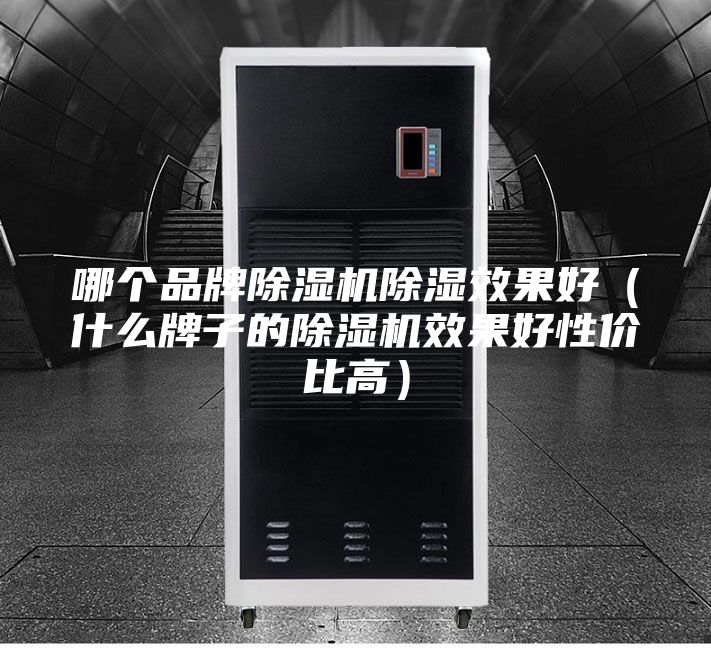 哪個品牌除濕機除濕效果好(什么牌子的除濕機效果好性價比高)