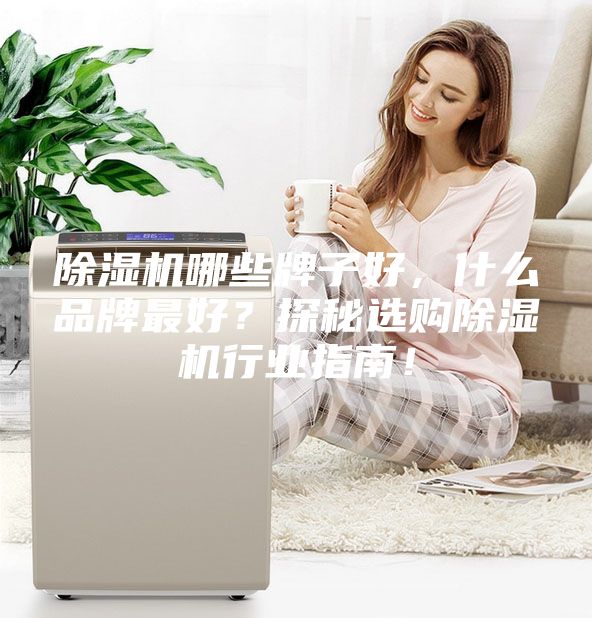 除濕機哪些牌子好,什么品牌最好?探秘選購除濕機行業指南!