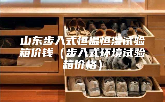 山東步入式恒溫恒濕試驗箱價錢(步入式環境試驗箱價格)