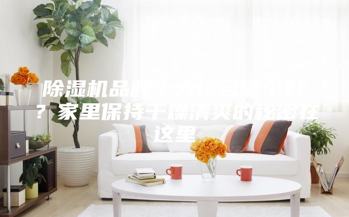 除濕機(jī)品牌十大排名哪個(gè)好？家里保持干燥清爽的秘密在這里