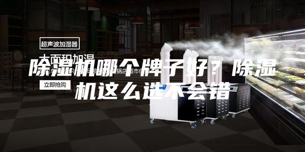 除濕機哪個牌子好?除濕機這么選不會錯