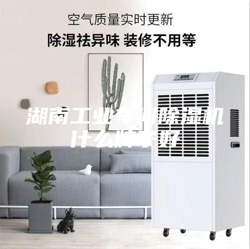 湖南工業(yè)車(chē)間除濕機(jī)什么牌子好
