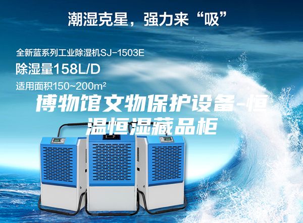 博物館文物保護(hù)設(shè)備-恒溫恒濕藏品柜