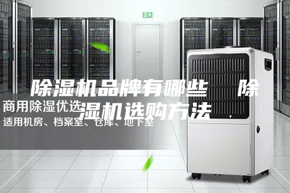 除濕機(jī)品牌有哪些  除濕機(jī)選購(gòu)方法