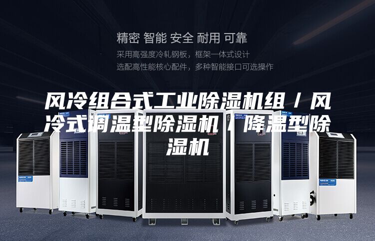 風(fēng)冷組合式工業(yè)除濕機(jī)組／風(fēng)冷式調(diào)溫型除濕機(jī)／降溫型除濕機(jī)