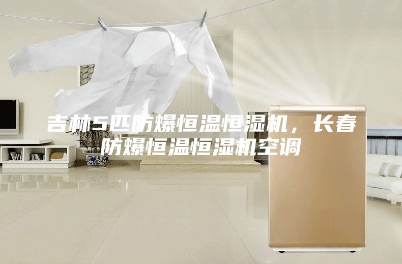 吉林5匹防爆恒溫恒濕機(jī)，長(zhǎng)春防爆恒溫恒濕機(jī)空調(diào)